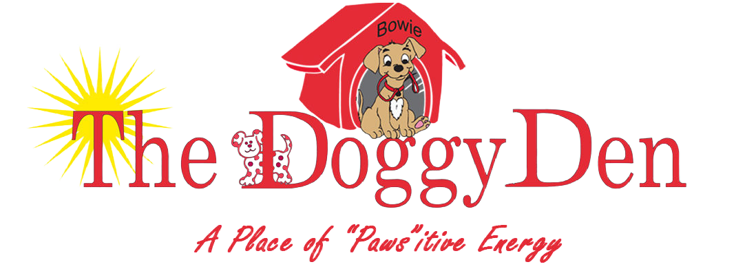 a dog grooming and boarding business logo called the doggy den. A sandy, utah business serving salt lake county and a place of "pawsitive" energy