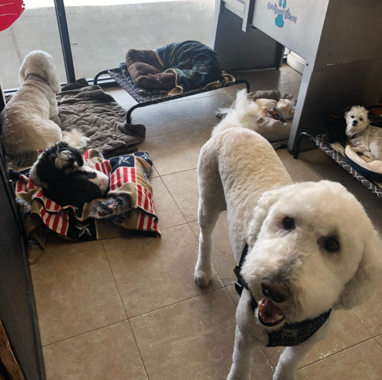 Screenshot 2025-09-05 212956