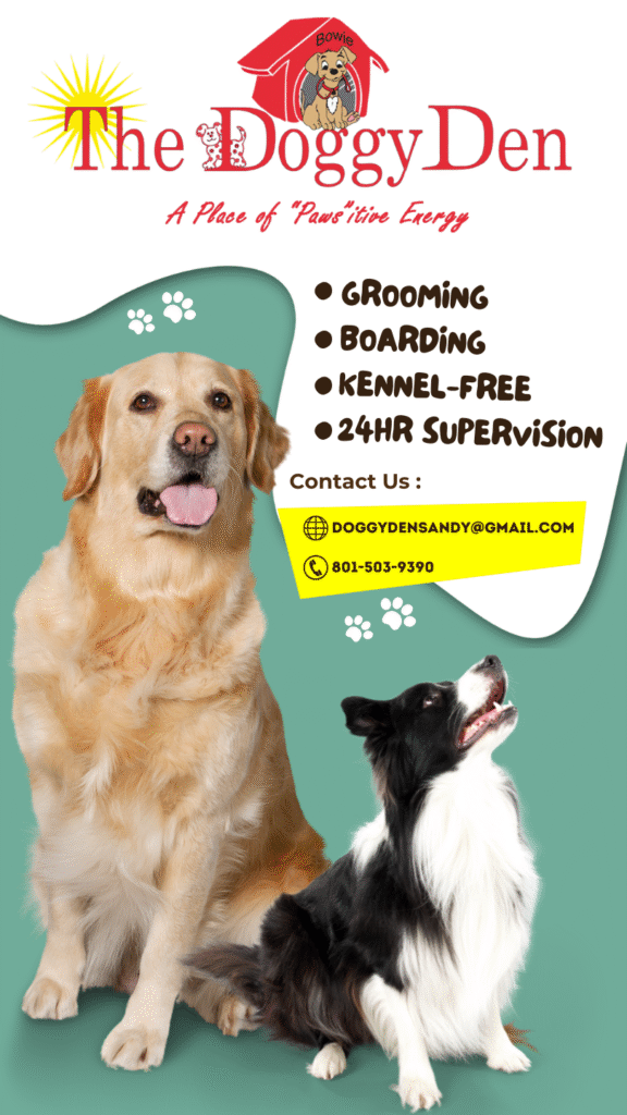 The Doggy Den promotional graphic featuring a Golden Retriever and Border Collie, listing services for kennel-free dog boarding, 24-hour supervision, and professional dog grooming in Sandy, UT.