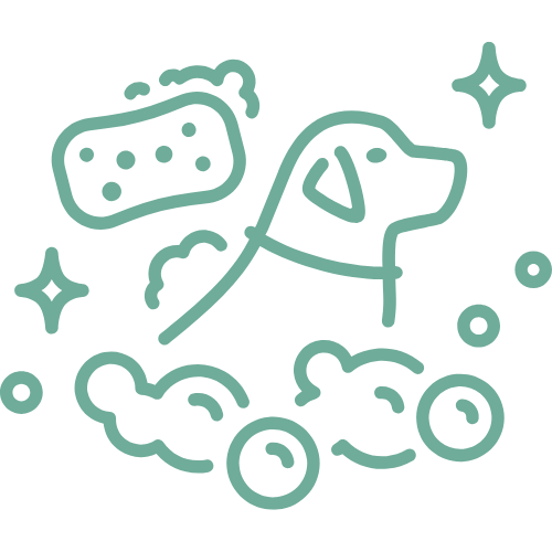 full-groom-bnath-and-brush-service-the-doggy-den-sandy - the doggy den